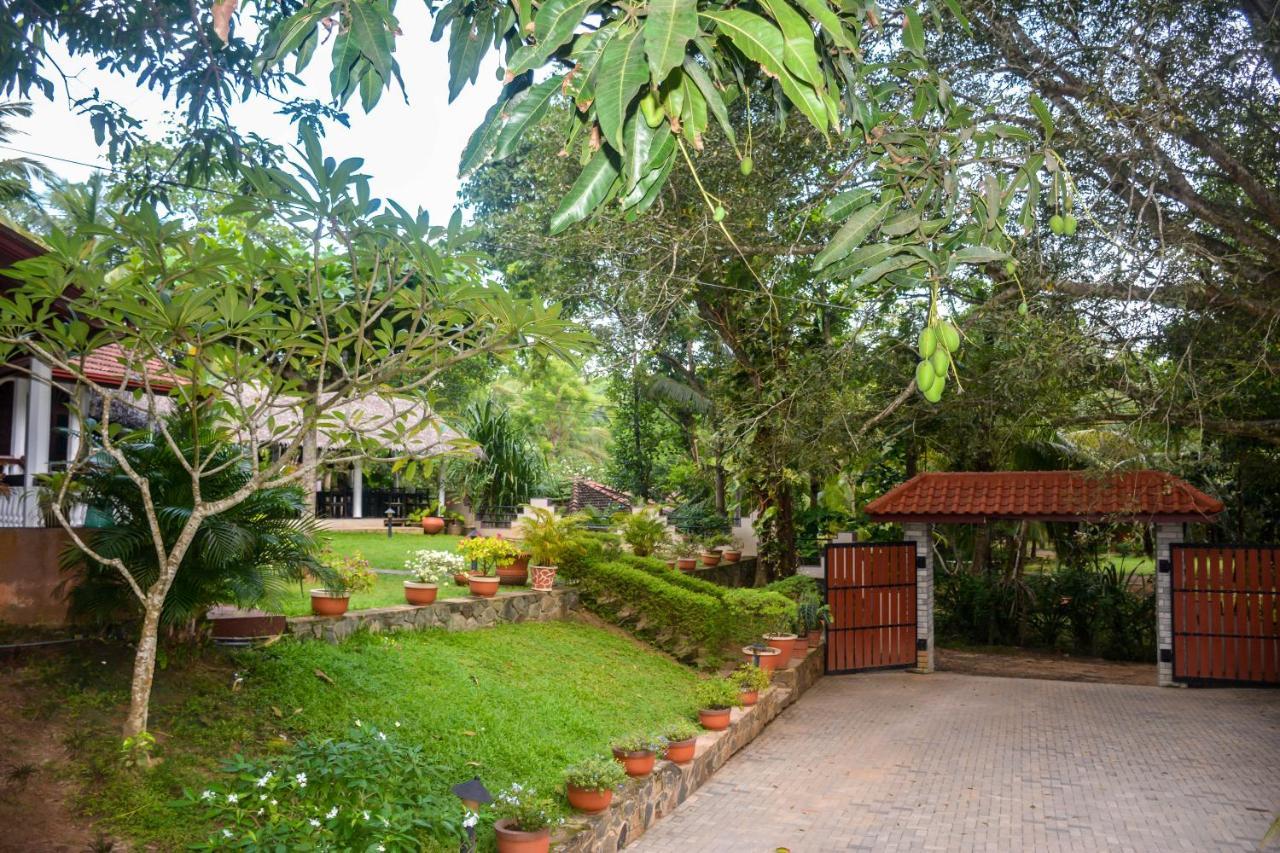 Goyambokka Guesthouse Tangalle Esterno foto