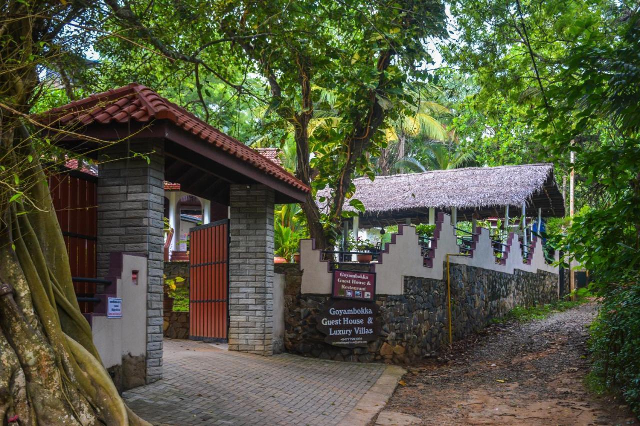 Goyambokka Guesthouse Tangalle Esterno foto