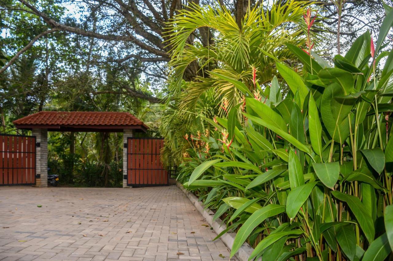 Goyambokka Guesthouse Tangalle Esterno foto