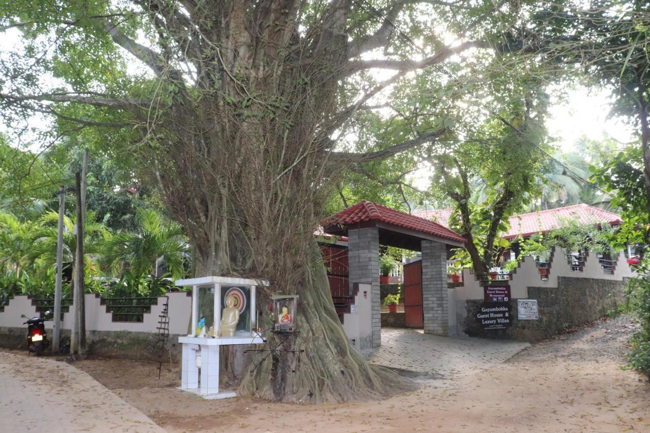 Goyambokka Guesthouse Tangalle Esterno foto